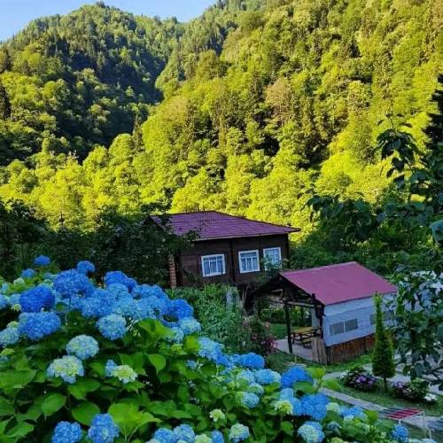 کینه توی دل نیست خبری ازش نیست